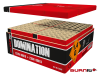 2536 Domination